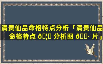 清贵仙品命格特点分析「清贵仙品命格特点 🦉 分析图 🌷 片」